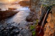 Salt Point SP, CA; Click to view more information